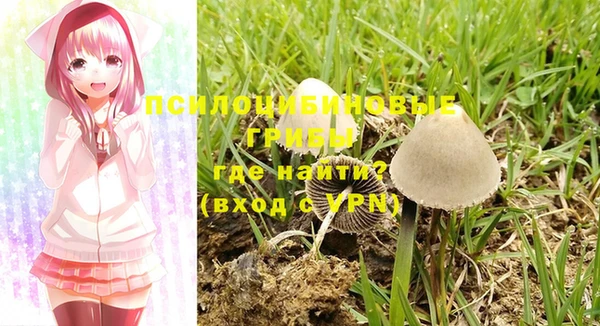 прущая мука Зеленокумск