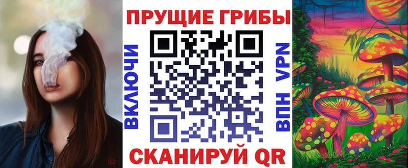Купить закладки  Челябинск  Галлюциногенные грибы GOLDEN TEACHER 