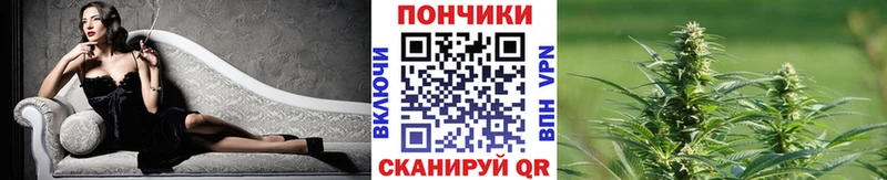 Купить где  Челябинск  Бошки Шишки сатива 